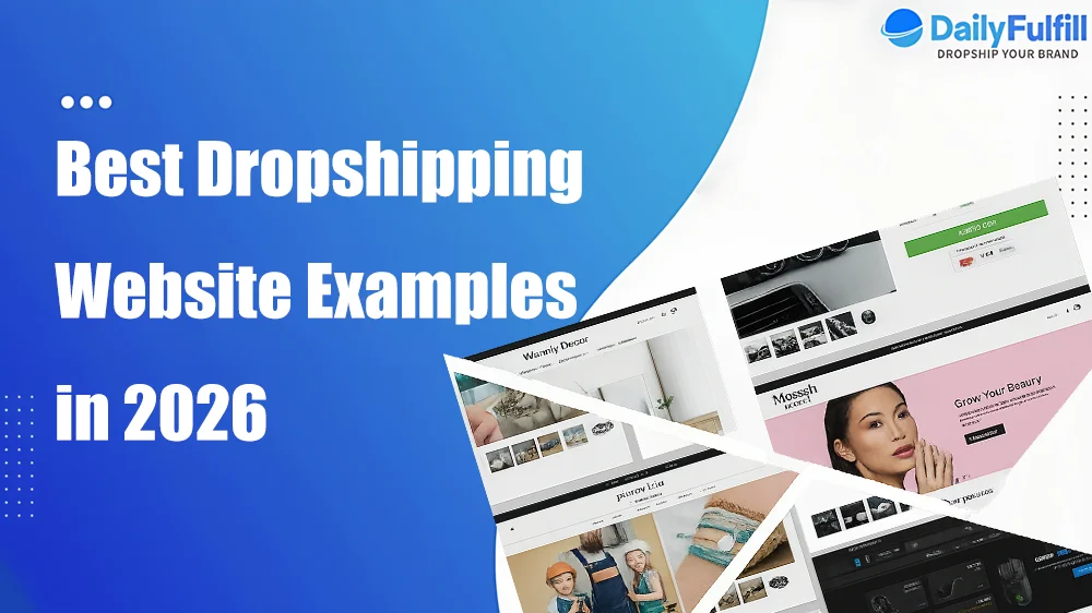 Dropshipping Website Examples